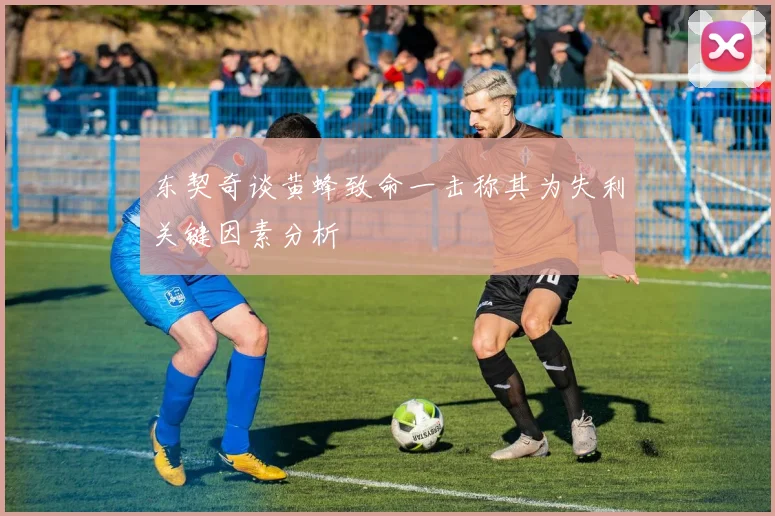 东契奇谈黄蜂致命一击称其为失利关键因素分析